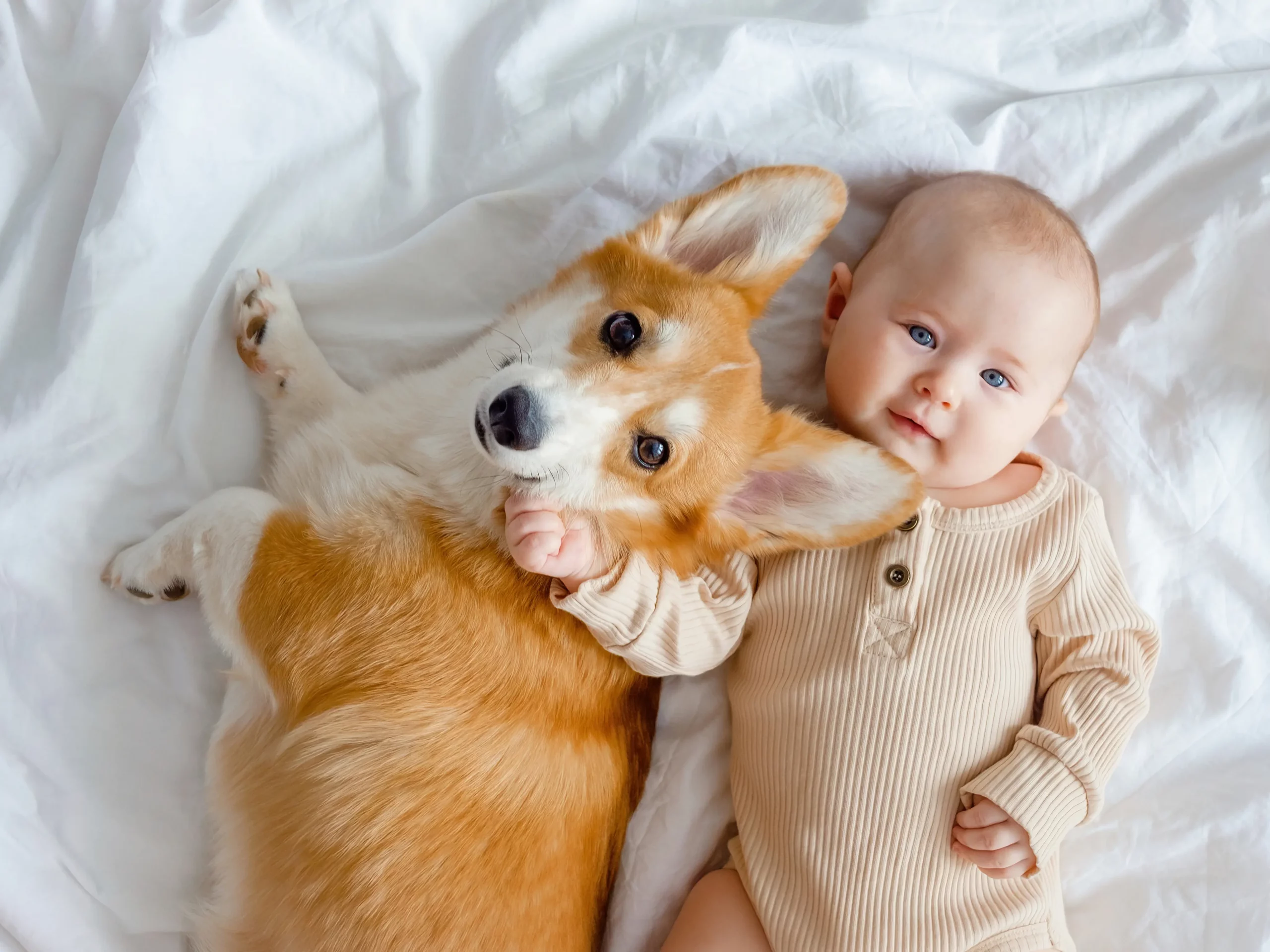 babyscoming