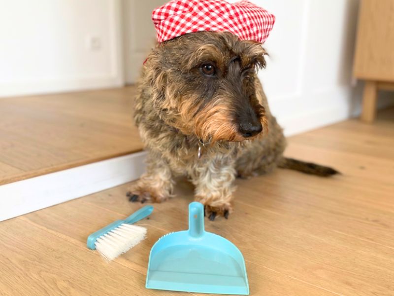 Nettoyer un pipi de chien avec du savon noir et du vinaigre blanc.